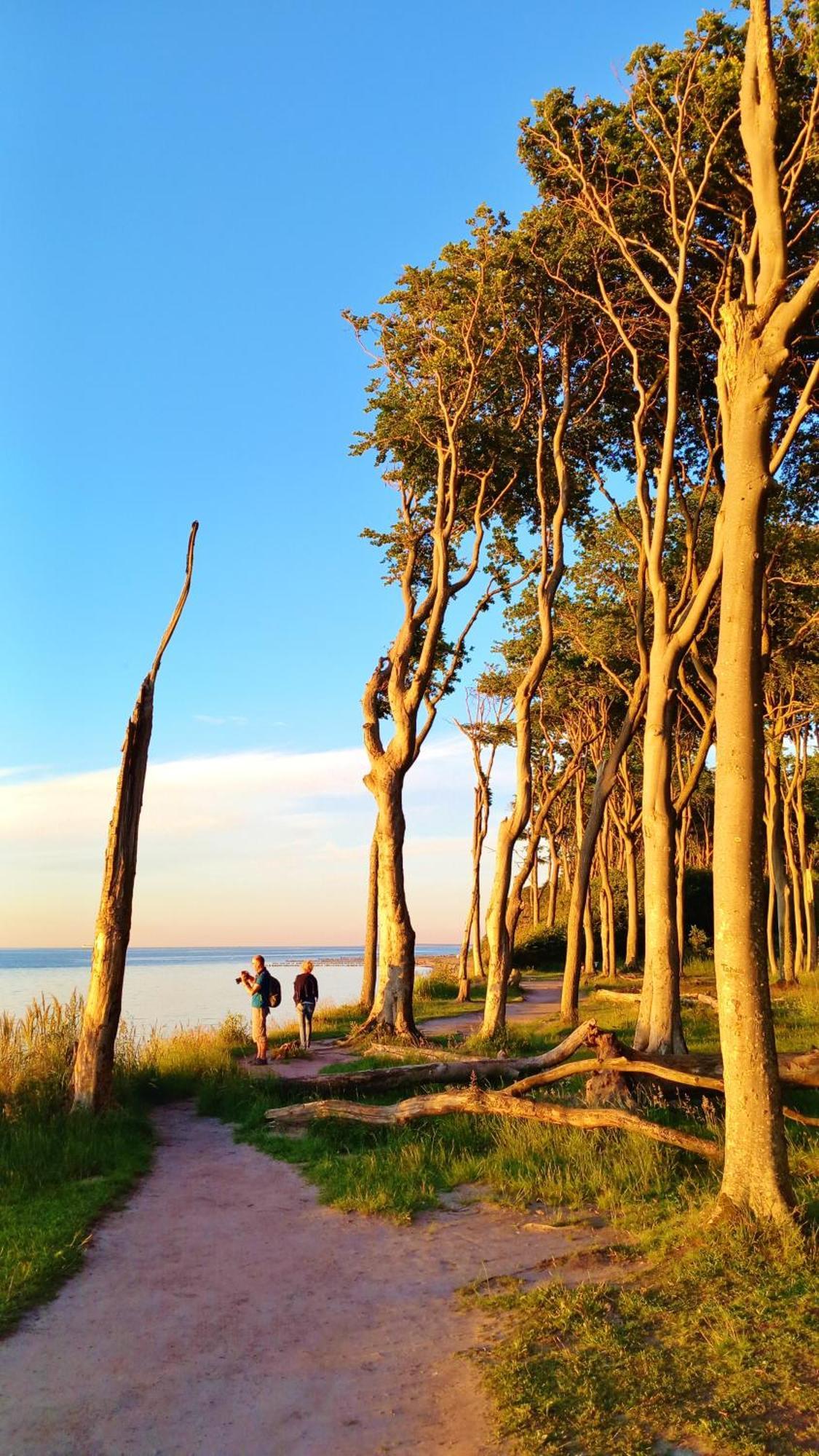 Ostsee Hotel-Pension An Der Lindenallee Бад Доберан Екстериор снимка