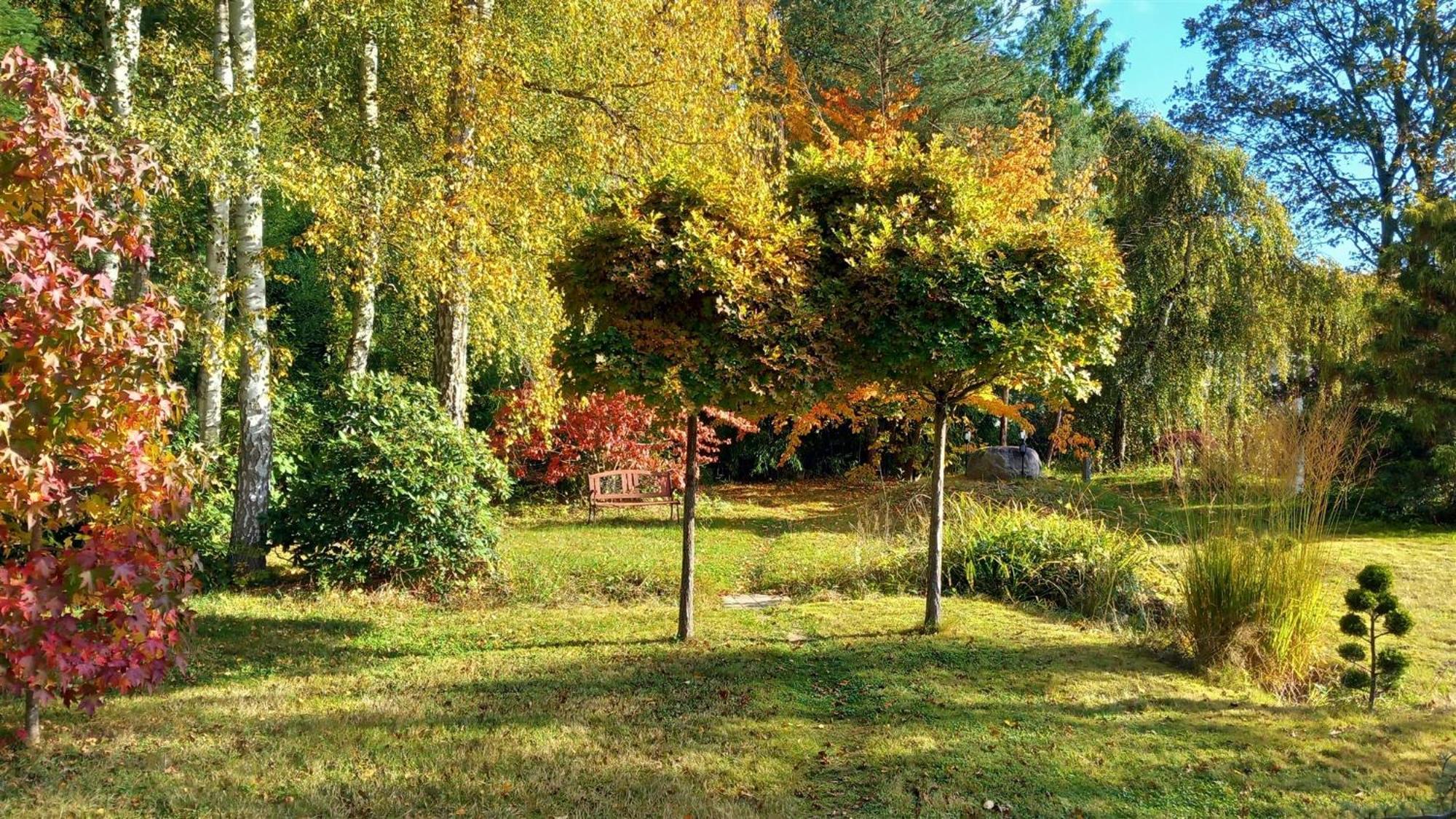 Ostsee Hotel-Pension An Der Lindenallee Бад Доберан Екстериор снимка