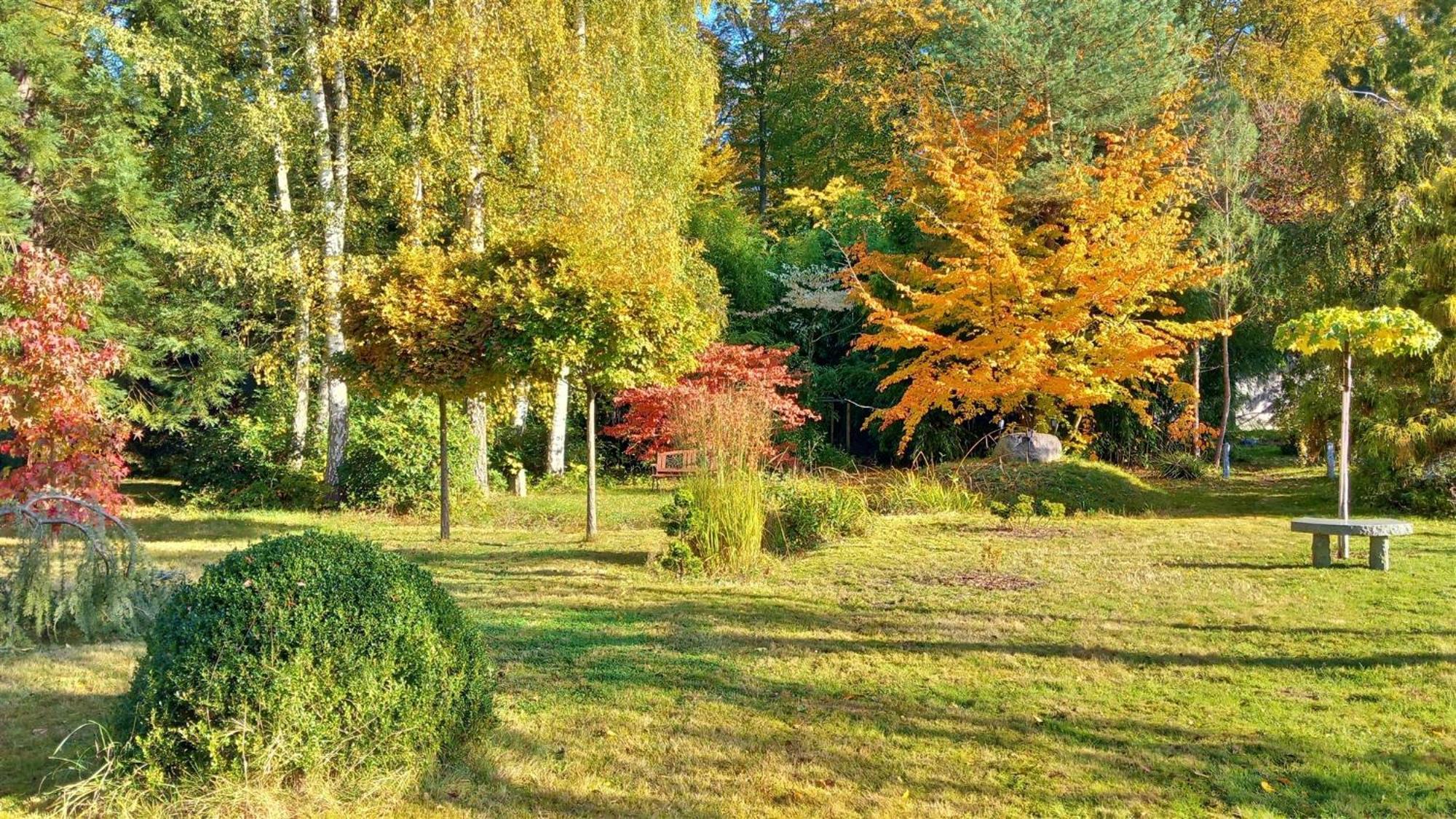 Ostsee Hotel-Pension An Der Lindenallee Бад Доберан Екстериор снимка