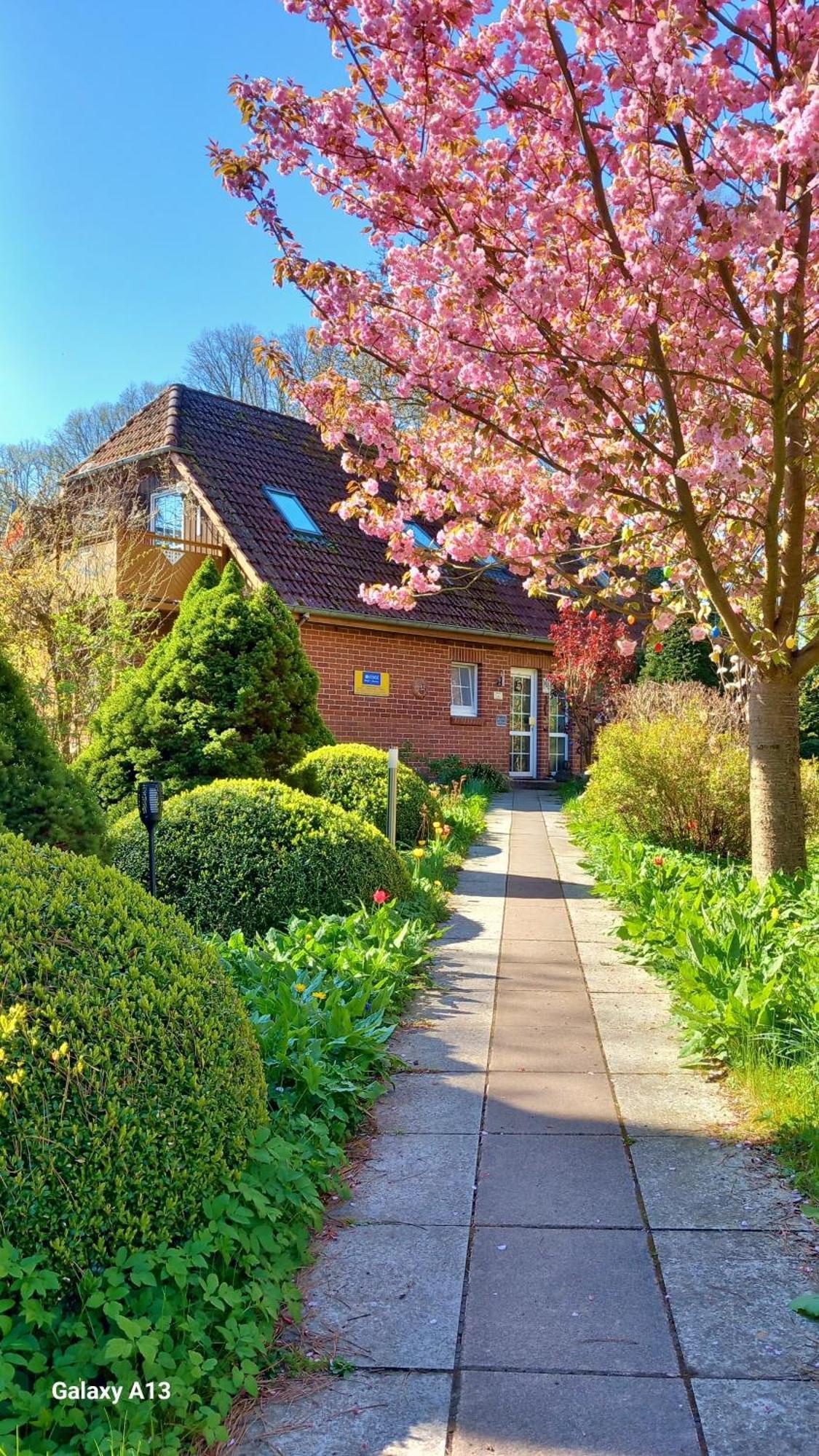 Ostsee Hotel-Pension An Der Lindenallee Бад Доберан Екстериор снимка